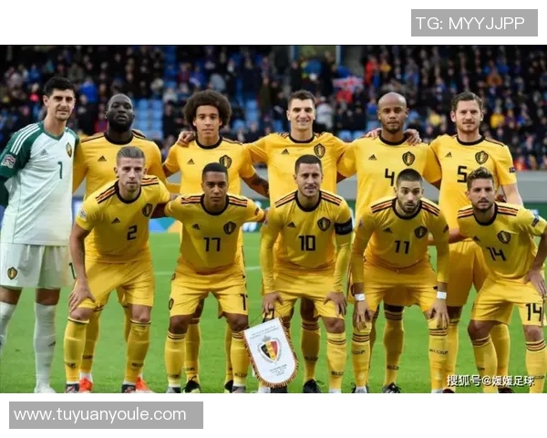 厄瓜多尔与法国足球对决专家分析汇总及比赛前瞻